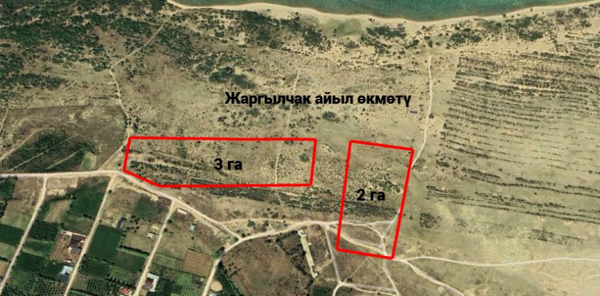 ЫСЫК-КӨЛ ОБЛУСУНДА 44 МЛН 806 МИҢ СОМДУК ЖЕР ТИЛКЕЛЕР МАМЛЕКЕТКЕ КАЙТАРЫЛДЫ