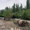 КАРА-СУУ РАЙОНУНДАГЫ ДАРЫЯДАН ОК-ДАРЫЛАР ТАБЫЛДЫ