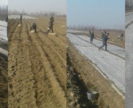 ТҮШТҮК ЖЕРГЕСИНДЕ  ЖАЗГЫ ТАЛАА ИШТЕРИ КЫЗЫДЫ