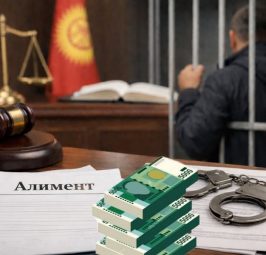 АЛИМЕНТ ТӨЛӨБӨГӨН ЖАРАН ЭКИ ЖЫЛГА КАМАЛДЫ