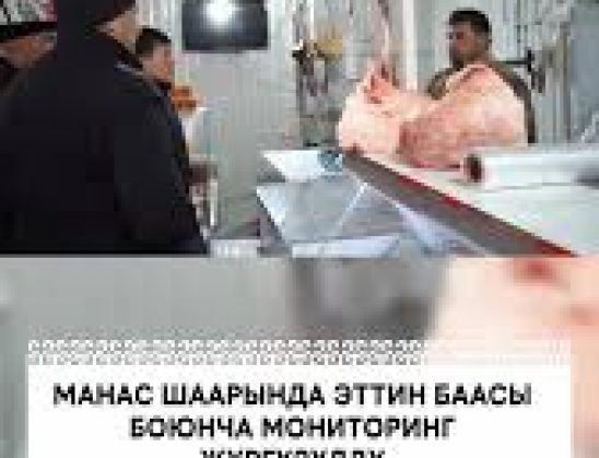 МАНАС ШААРЫНДА ЭТТИН БААСЫ БОЮНЧА МОНИТОРИНГ ЖҮРГҮЗҮЛДҮ