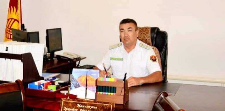 ЖАҢЫ ДАЙЫНДОО