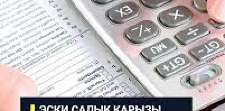 КЫРГЫЗСТАНДА САЛЫК КАРЫЗДАР КИМДЕРГЕ ЖОККО ЧЫГАТ?