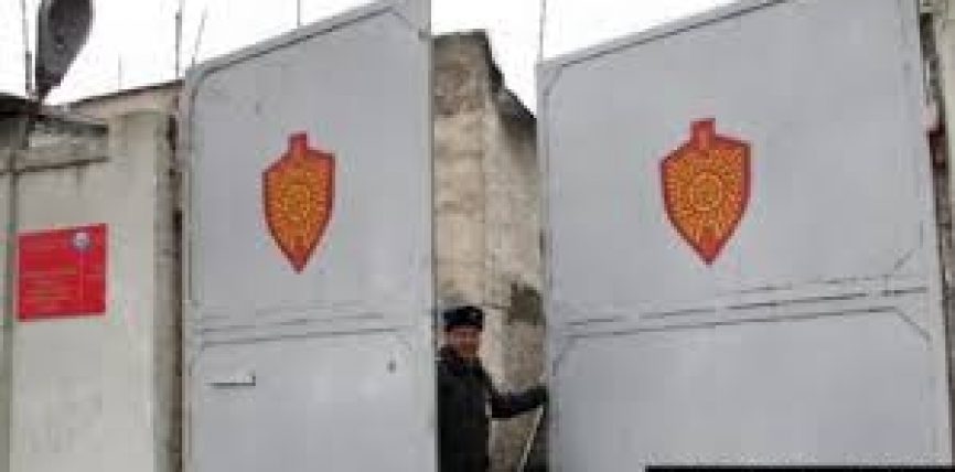 КЫРГЫЗСТАНДА АКЫРКЫ ЖАТАК АБАКТАРДЫ ЖОЮУ ЧЕЧИМИ КАБЫЛ АЛЫНДЫ