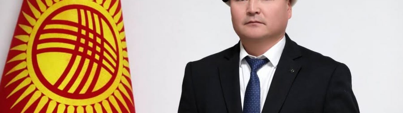 ЖАҢЫ ДАЙЫНДОО