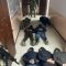 ОШТО ОПУЗАЛАП АКЧА ТАЛАП КЫЛУУ МЕНЕН АЛЕКТЕНИШКЕН БАЖЫ КЫЗМАТКЕРЛЕРИ КАРМАЛЫШТЫ