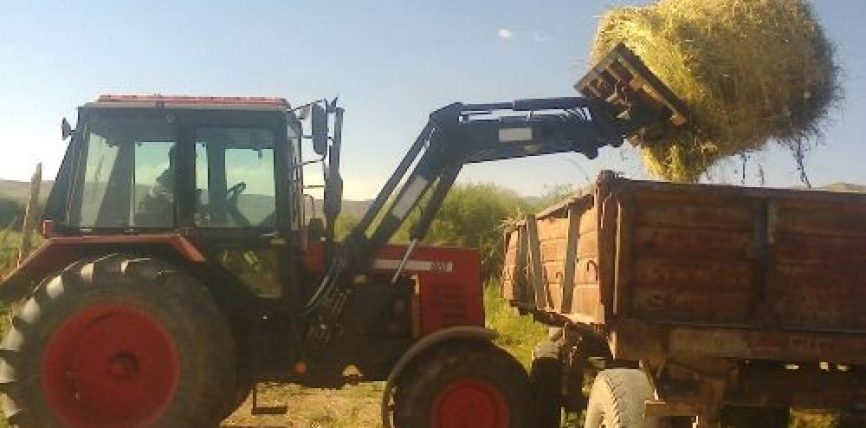 ТҮШТҮКТӨ ТОЮТ УЛАМ КЫМБАТТАП БАРАТАТ