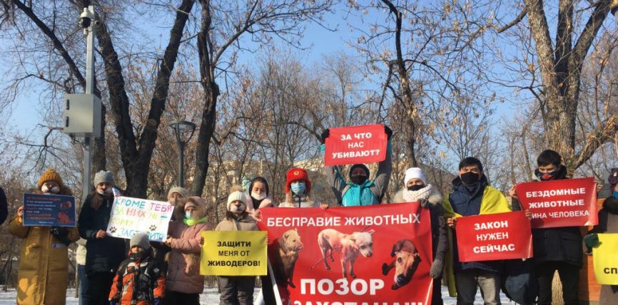 АЛМАТЫДА ЖАНЫБАРЛАРДЫН УКУГУН КОРГООЧУЛАРДЫН МИТИНГИ ӨТТҮ