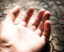 ӨЗБЕКСТАНДА РАЙОН БАШЧЫСЫН СОТКО БЕРГЕН ФЕРМЕРДИН СӨӨГҮ АРЫКТАН ТАБЫЛДЫ