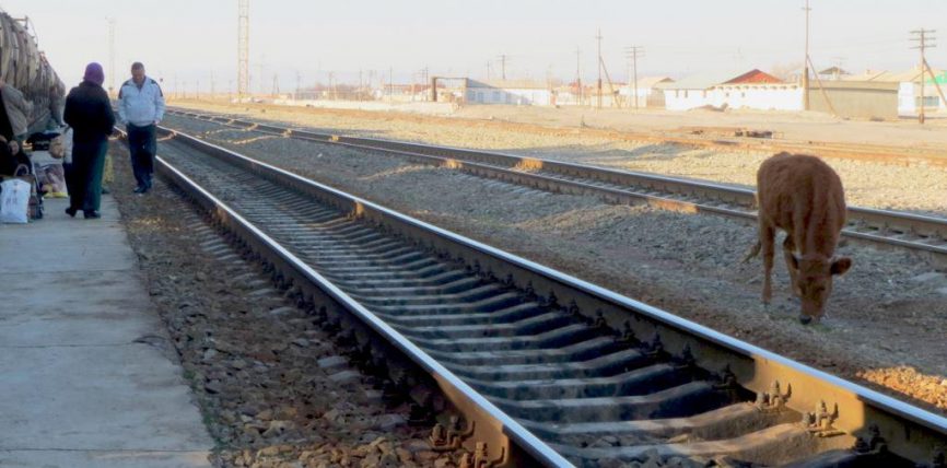 ТҮРКМӨНСТАНДА КОРОНАВИРУСТУК ЧЕКТӨӨЛӨР ЖАҢЫ ЖЫЛГА ЧЕЙИН КҮЧҮНДӨ БОЛОТ