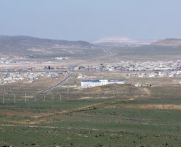 КАЗАКСТАНДЫН ТҮШТҮГҮНДӨ ЖЫЛКЫЛАР КЫРЫЛУУДА