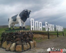 ӨМҮР БИЗДЕН ӨТҮП КЕТСЕ,ЭЛ ЭМГЕКТЕН ЭСКЕРЕТ