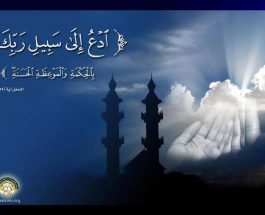 Ой толгоо  ДААВАТ. ДААВАТ ДЕГЕН ЭМНЕ?