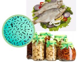 БОТУЛИЗМ БУЛ –  КОНСЕРВАЦИЯ,   КОНЦЕРВАЦИЯ БУЛ – БОТУЛИЗМ ЭТИЯТ БОЛ!