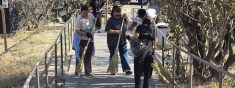 «УЛУТТУК ТАЗАЛЫК КҮНҮНӨ» КАРАТА МАССАЛЫК ИШЕМБИЛИК ӨТКӨРҮЛДҮ