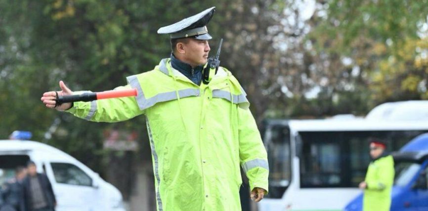 ӨЛКӨ АЙМАГЫНДА БИР ЖУМА ИЧИНДЕ 323 МАС АЙДООЧУ КАРМАЛДЫ