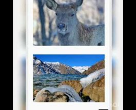 ЖАЛАЛ-АБАД ОБЛУСУ АКСЫ РАЙОНУ